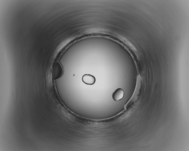 X0000115670877200911191023