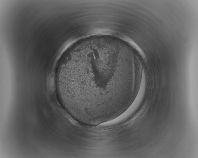 X0000115670878200911191023