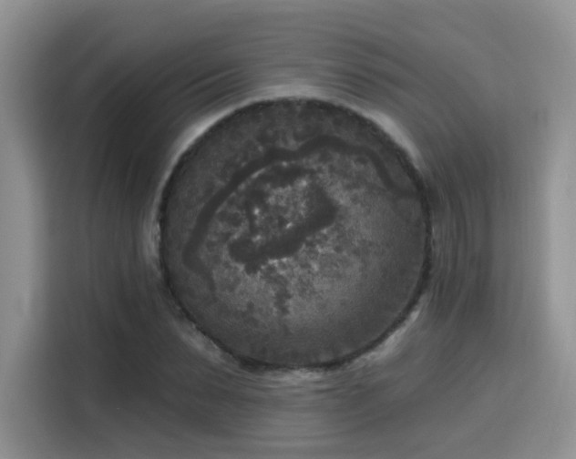 X0000115670879200911191023