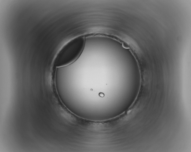 X0000115670880200911191023