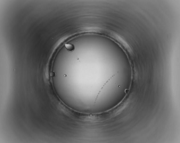 X0000115670883200911191023