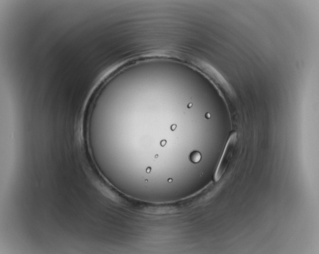 X0000115670884200911191023