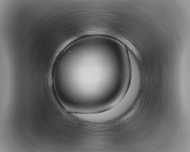 X0000115670885200911191023