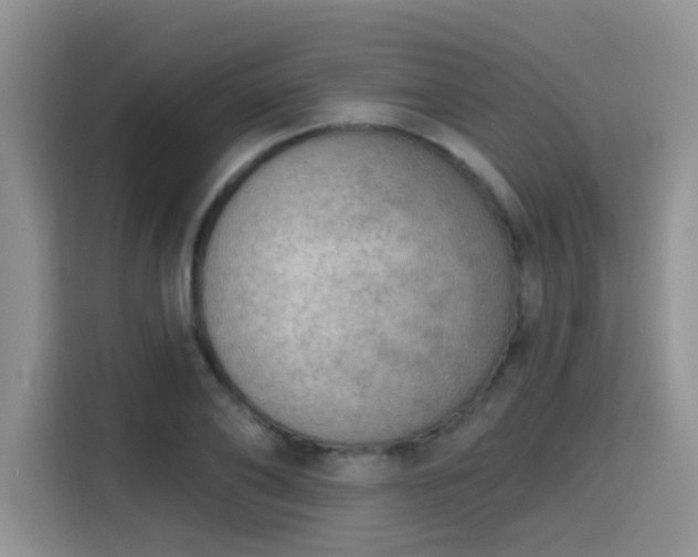 X0000115670886200911191023