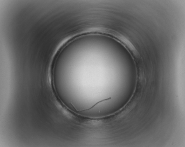 X0000115670888200911191023