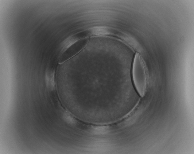 X0000115670889200911191023