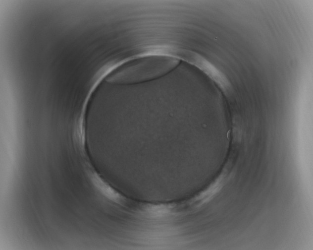 X0000115670892200911191023