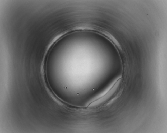 X0000115670893200911191023