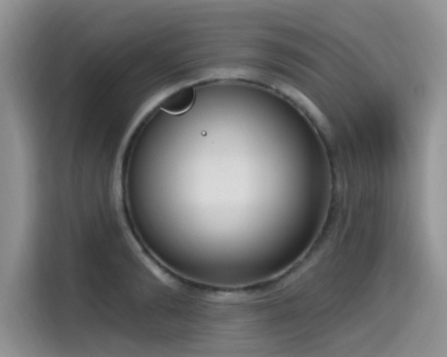 X0000115670894200911191023