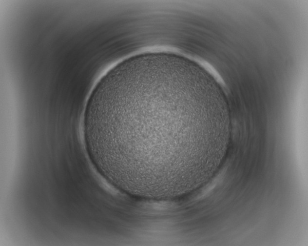 X0000115670895200911191023