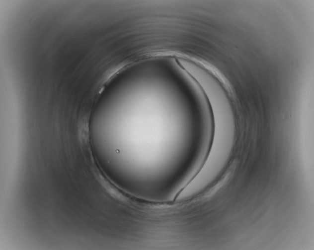 X0000115670897200911191023