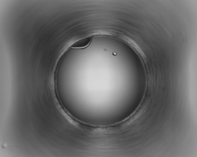 X0000115670898200911191023