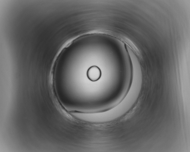 X0000115670900200911191023