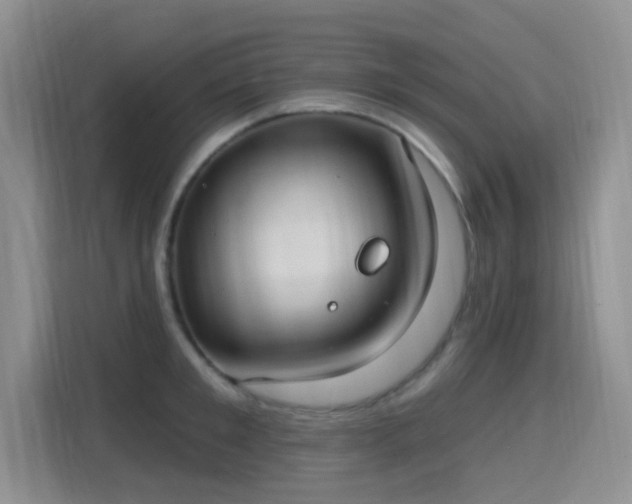X0000115670901200911191023
