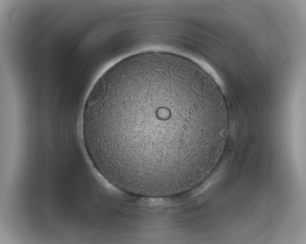 X0000115670903200911191023