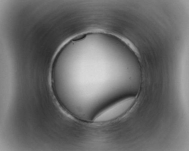 X0000115670904200911191023
