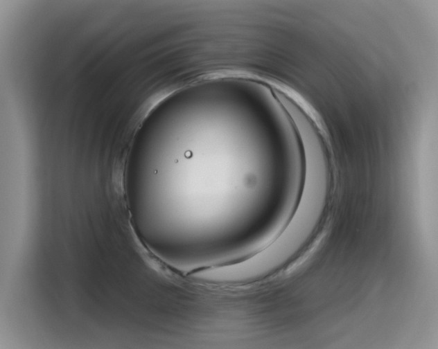 X0000115670905200911191023