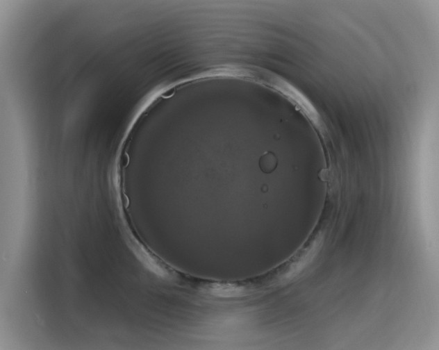 X0000115670907200911191023