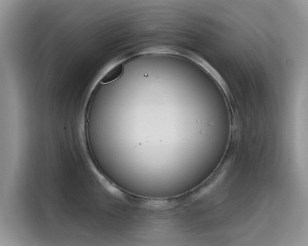 X0000115670909200911191023