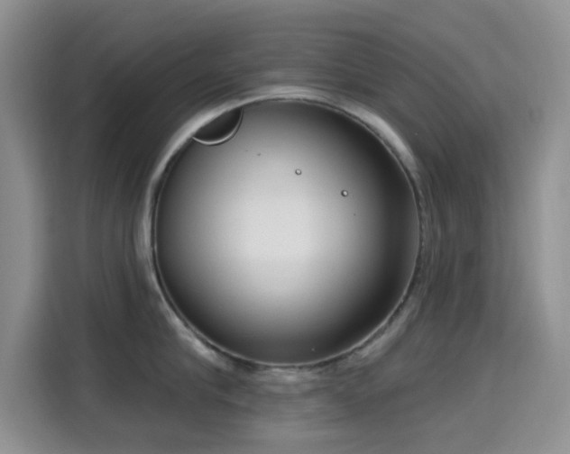 X0000115670910200911191023