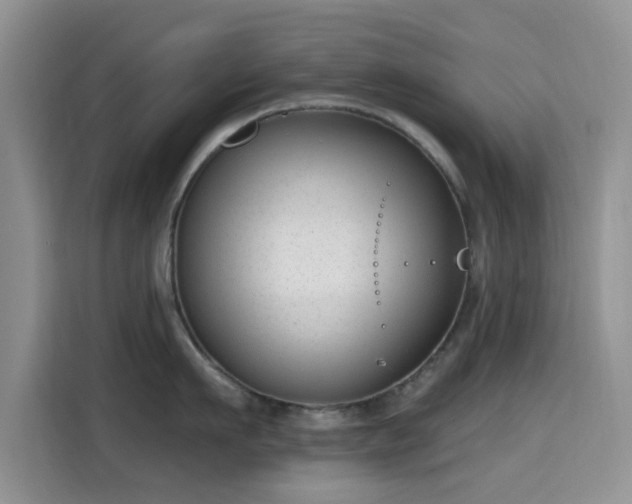 X0000115670911200911191023