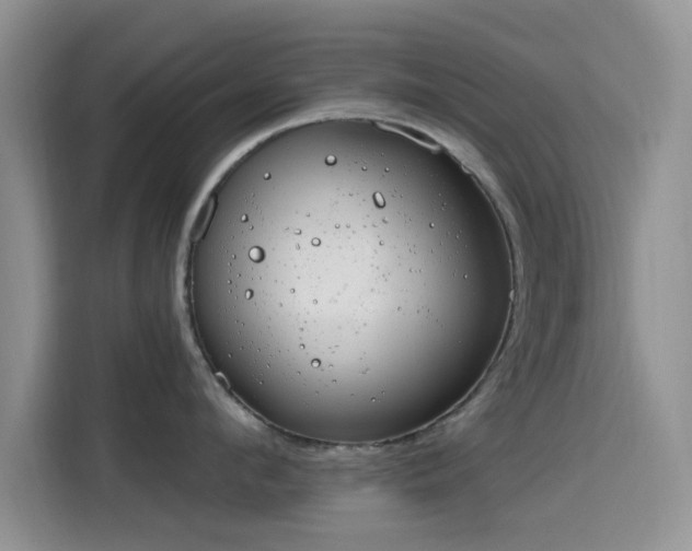X0000115670912200911191023