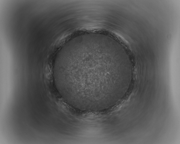 X0000115670917200911191022