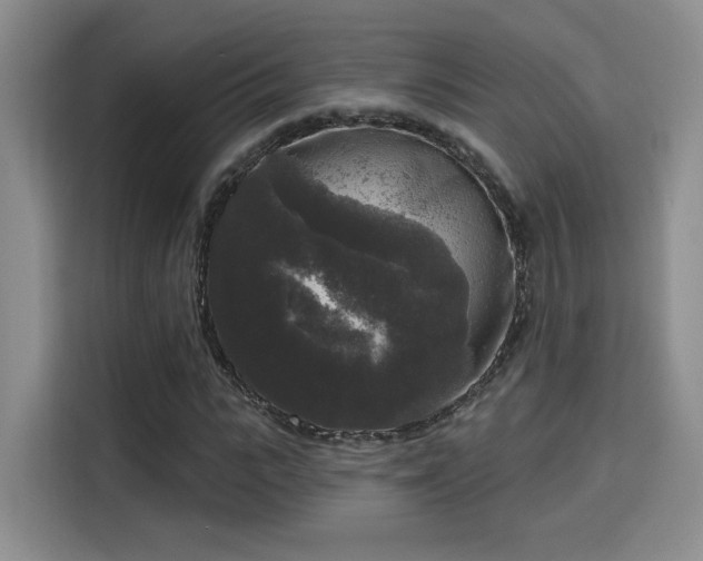 X0000115670919200911191022