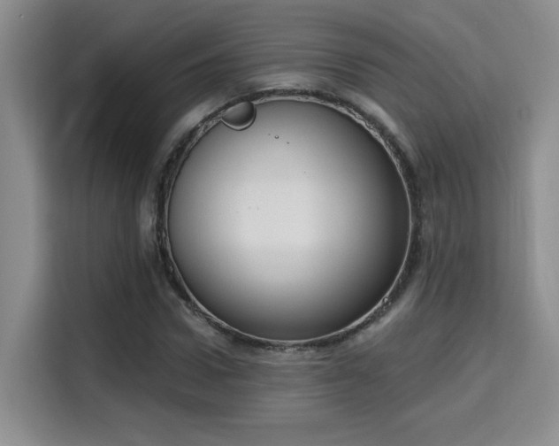 X0000115670922200911191022