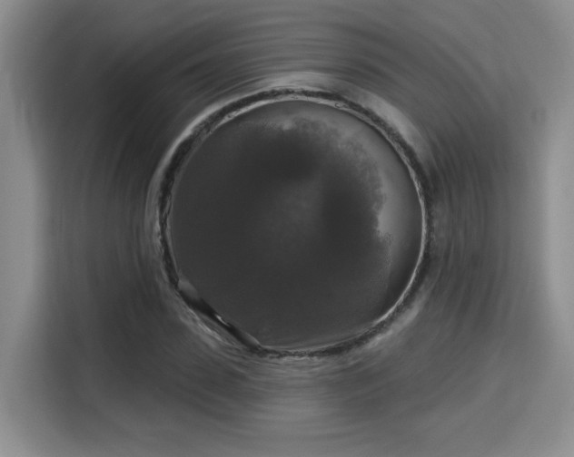 X0000115670923200911191022