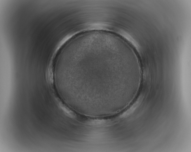 X0000115670925200911191022