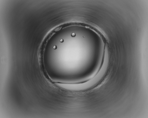 X0000115670926200911191022