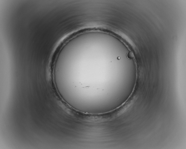 X0000115670927200911191022