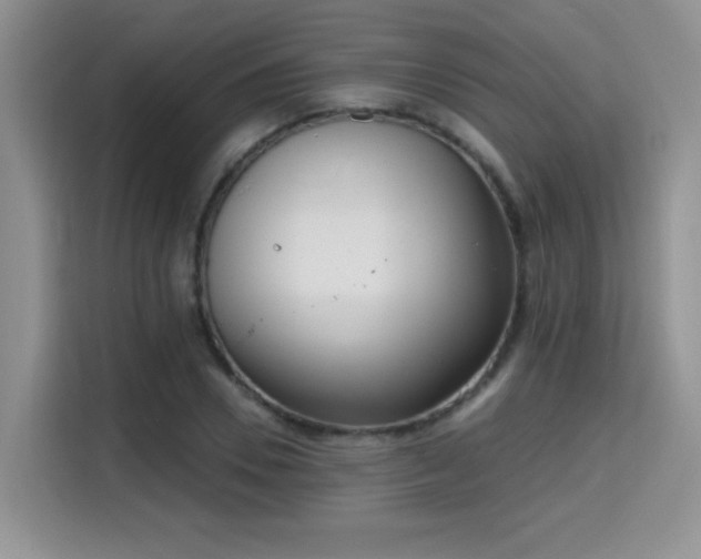 X0000115670930200911191022