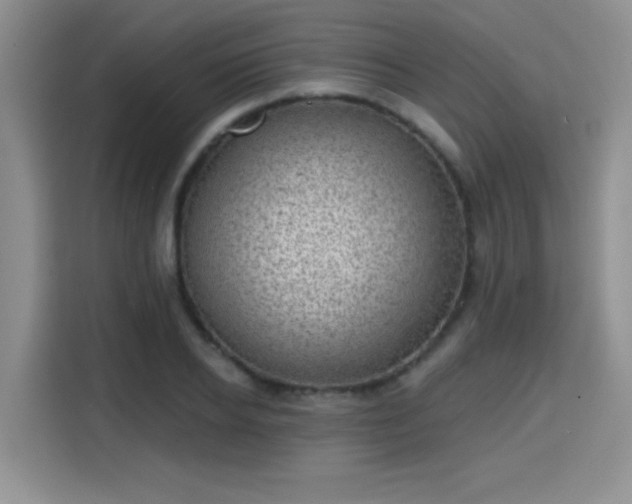 X0000115670934200911191022
