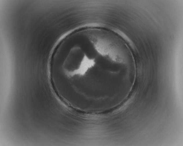X0000115670935200911191022