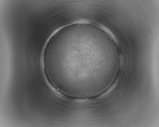 X0000115670939200911191022