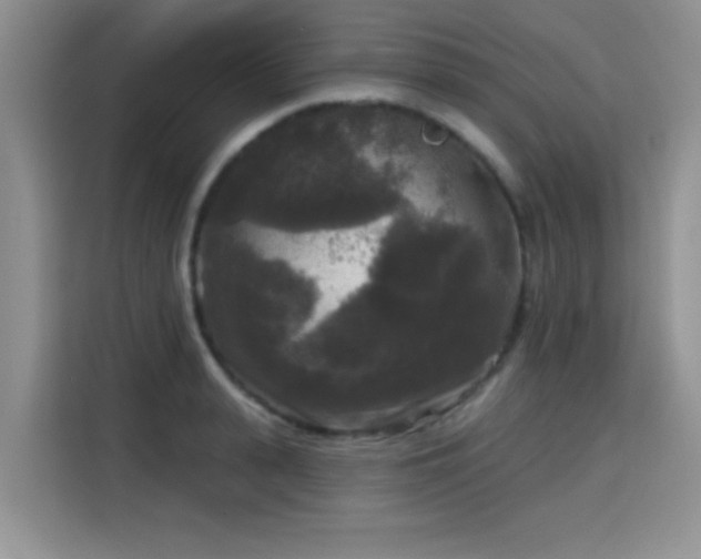 X0000115670943200911191023