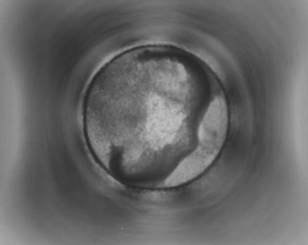 X0000115670950200911191023
