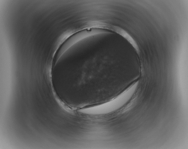 X0000115670954200911191023