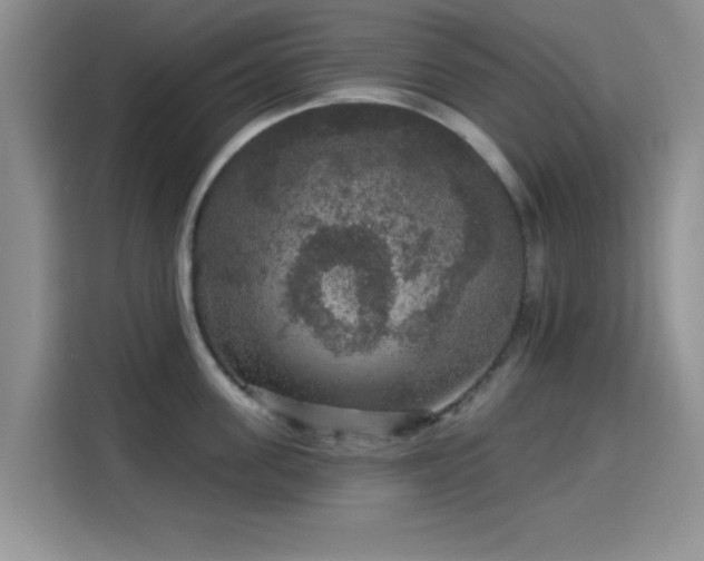 X0000115670955200911191023