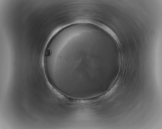 X0000115670958200911191023