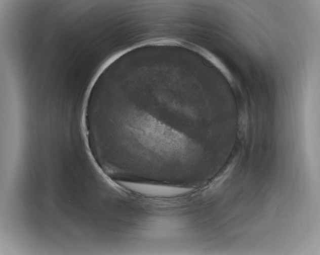X0000115670959200911191023