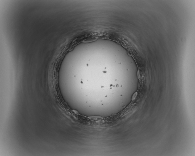 X0000115670961200911191022