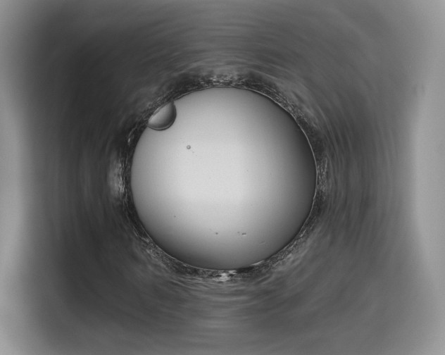X0000115670962200911191022