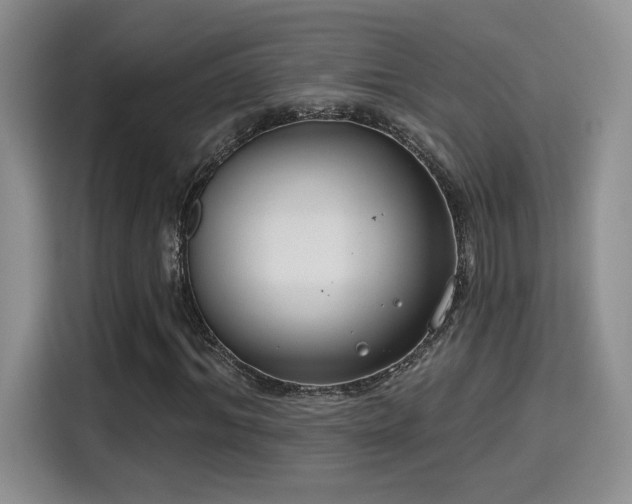 X0000115670964200911191022