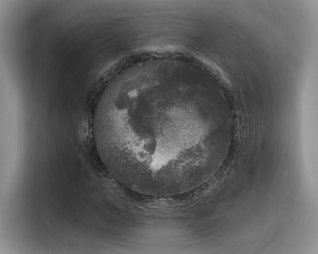 X0000115670966200911191022