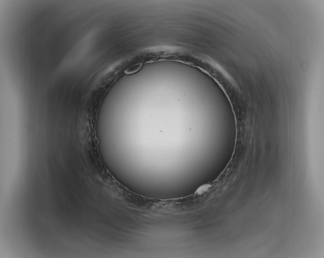 X0000115670967200911191022