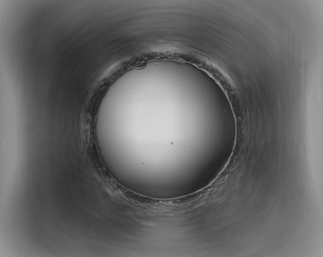 X0000115670968200911191022