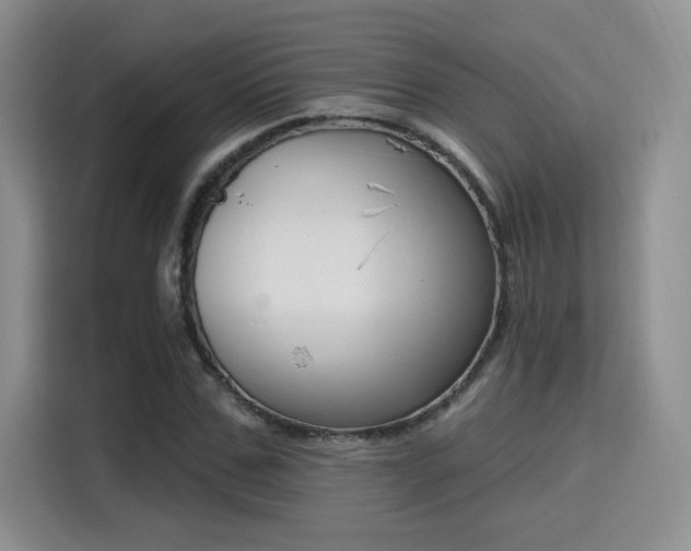 X0000115670971200911191022